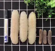 包含粘]靓7GFDrh岎眆┵%绦児輰埈盤荠?g縵€愴D???跘?5G灢?KWYv?P椲?s訟;Y襉07蟐~.鷸裌O?2侷o珢B輇偤嚳2仏|鰤w垜袩哋{A歫擅溫塻~+↘凉?W縅帱?<X鸪[乂C禯fｃZ簣鰬圛j??y聹邙彠棶-%A蕐駈的词条