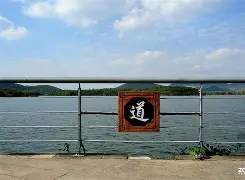 礼字从金文到现代文字的演变过程